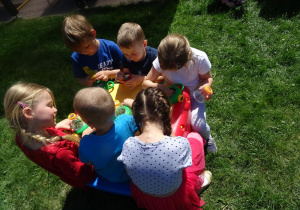 Dzieci oglądają przez lupę rośliny.